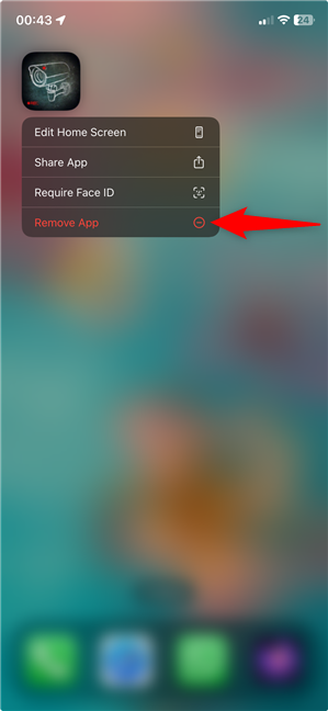 Tap Remove App in the contextual menu
