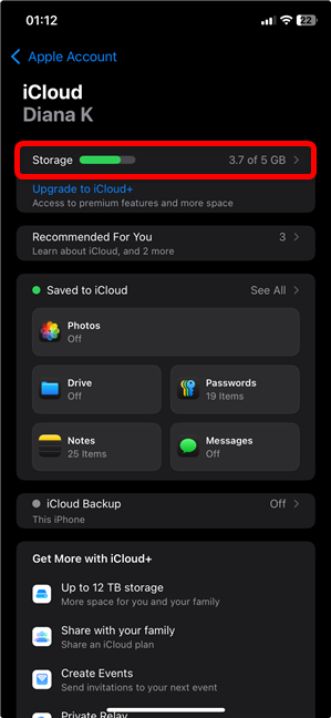 Access Storage on the iCloud screen