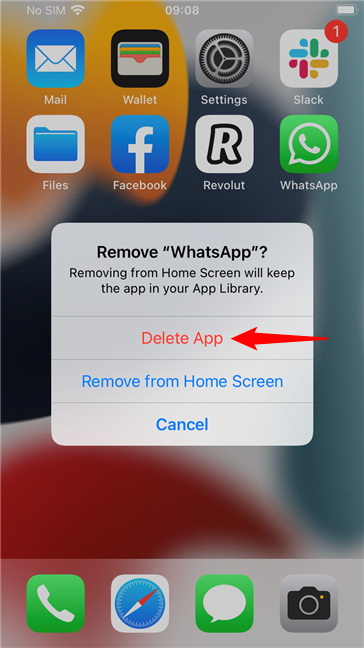 Choose to Delete App from an iPhone