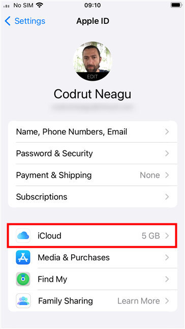 Tap iCloud on the Apple ID page