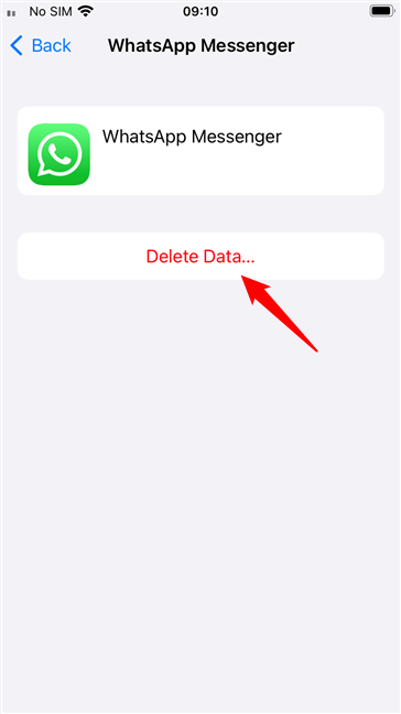 Delete Data of the app from iCloud