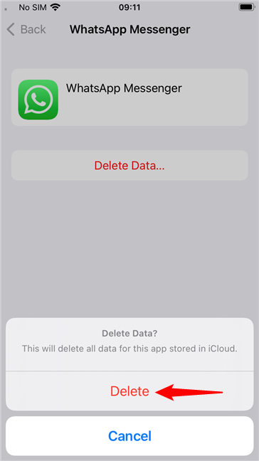 Confirm the delete of the app's data in iCloud