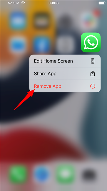 Remove App from the iPhone
