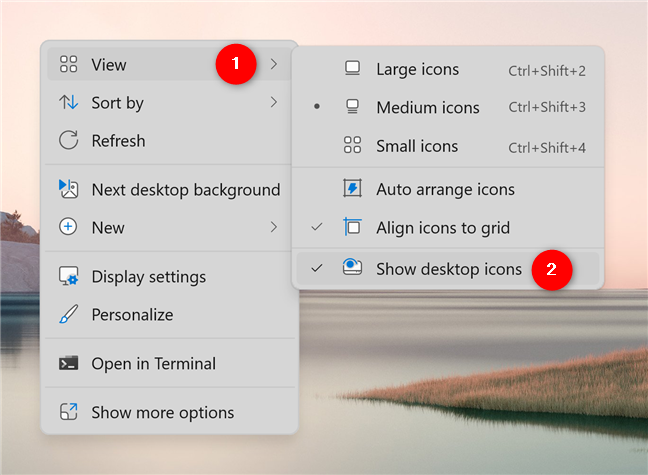 Show desktop icons in Windows 11
