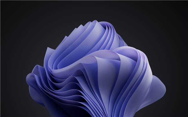 900+ Best Wallpaper windows 10 ideas