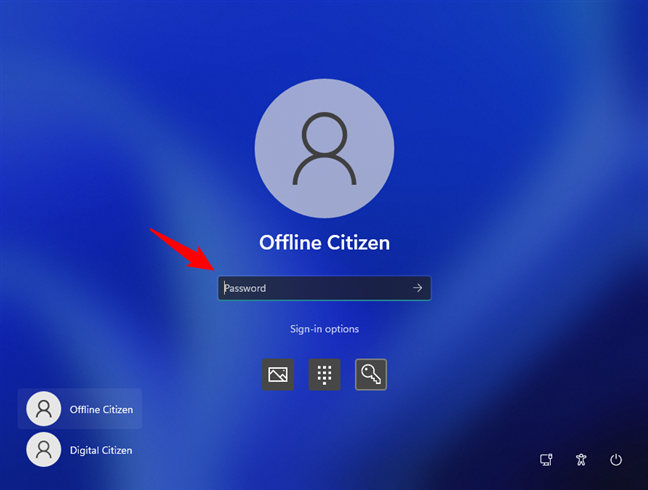 Windows 11 sign-in options: Password