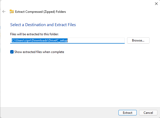 Extract the DriveIC_setup.zip archive