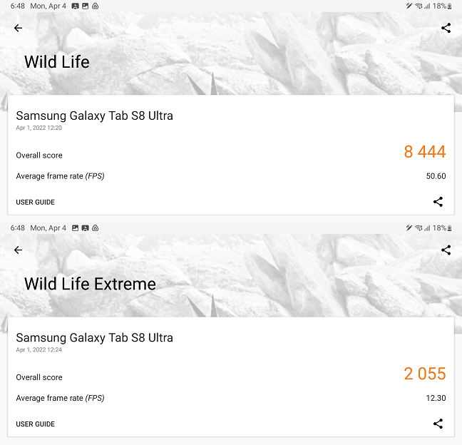 The test results in 3DMark Wild Life and Wild Life Extreme