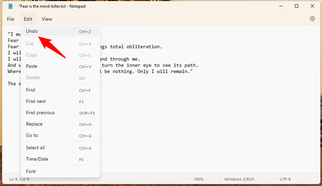Undo changes in Notepad