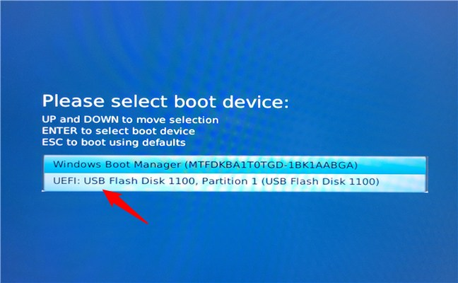 Choose to boot from a USB flash drive in the Boot Menu
