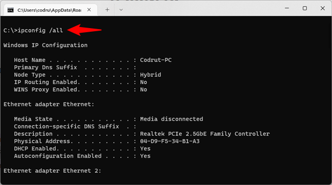 Get NIC info with ipconfig in CMD
