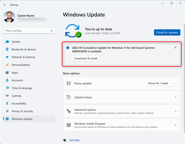 Install 2022-05 Cumulative Update for Windows 11 for x64-based Systems (KB5014019)