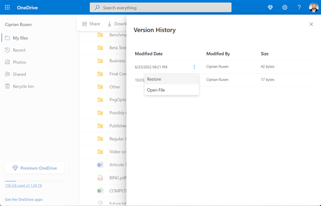 Version History works for PDFs, TXT files, and more