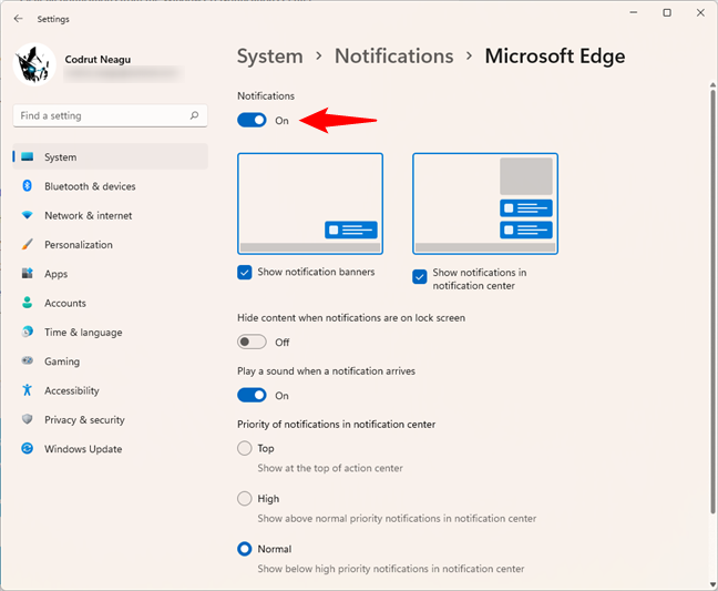 The main switch that enables or disables notifications