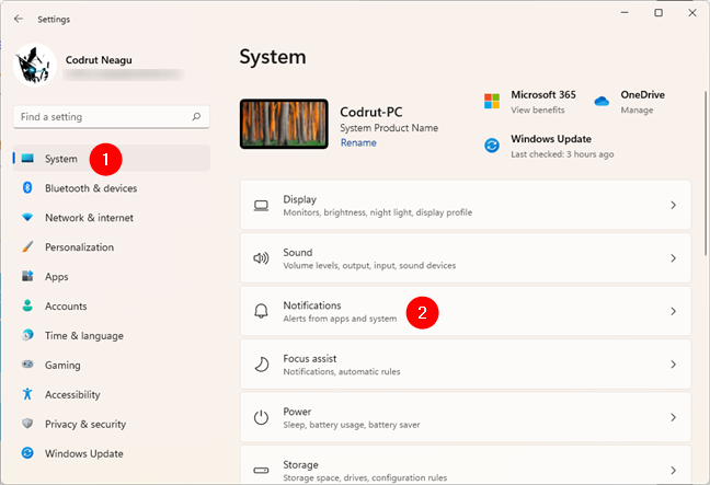 Open the Notifications settings in Windows 11