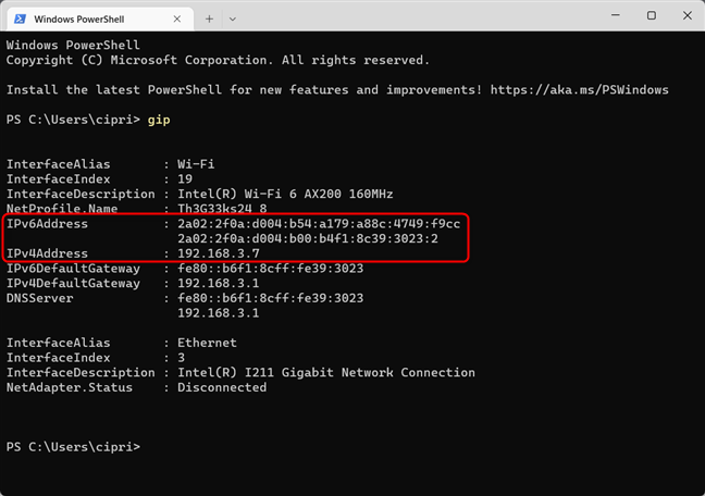 Find your IP address with gip