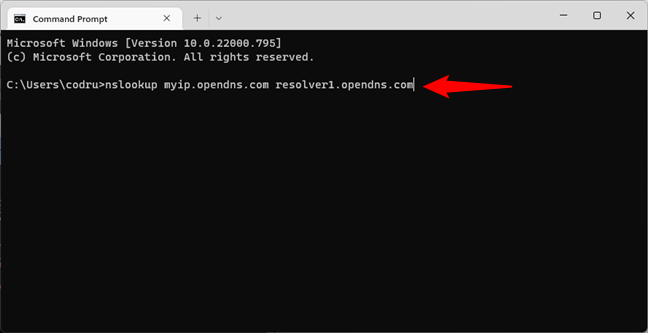 The command that identifies your public IP address