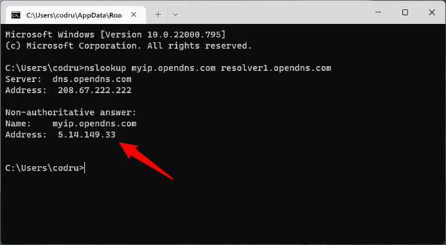 Windows command that returns external IP - Super User