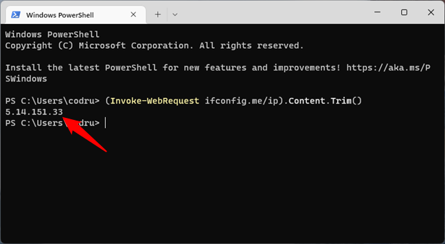 PowerShell shows your public IP address