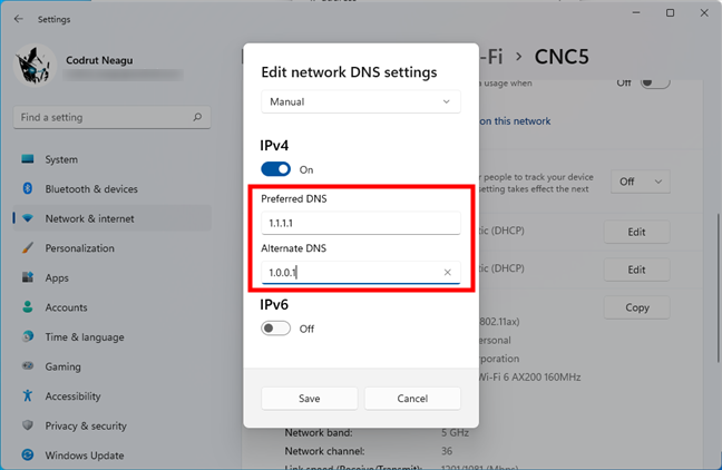 The Preferred DNS and Alternate DNS servers