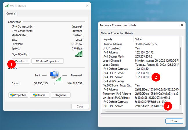 The DNS servers used by a network connection