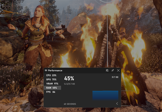 RAM usage in Horizon Zero Dawn