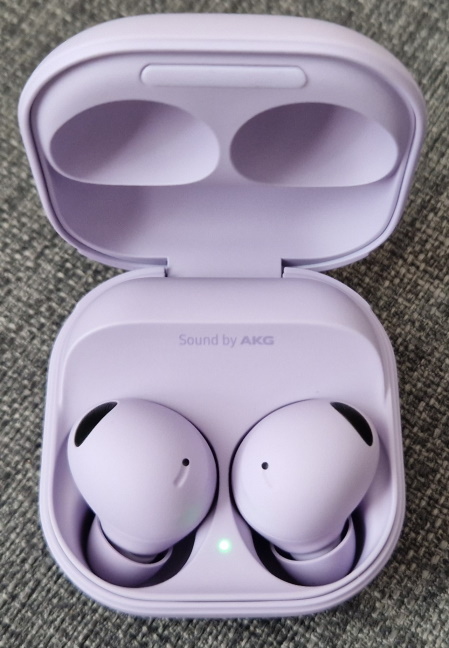 The charging case for Galaxy Buds2 Pro