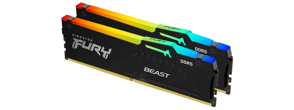 sløjfe Seletøj is Kingston Fury Beast DDR5-4800 review: Fast and furious! - Digital Citizen