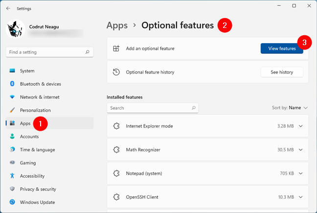 The Optional features page from Settings