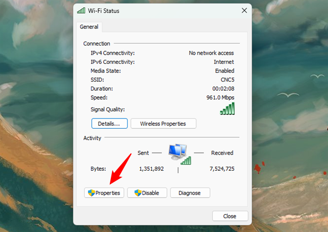 The Status window of a network connection