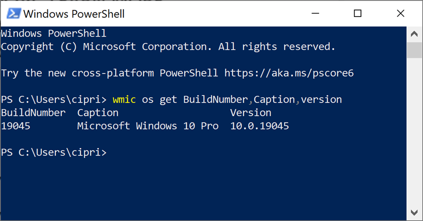 The OS Build for Windows 10 version 22H2