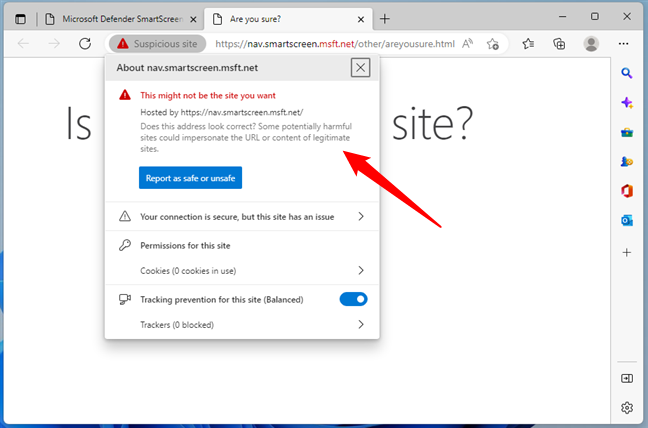 A suspicious site was identified by SmartScreen