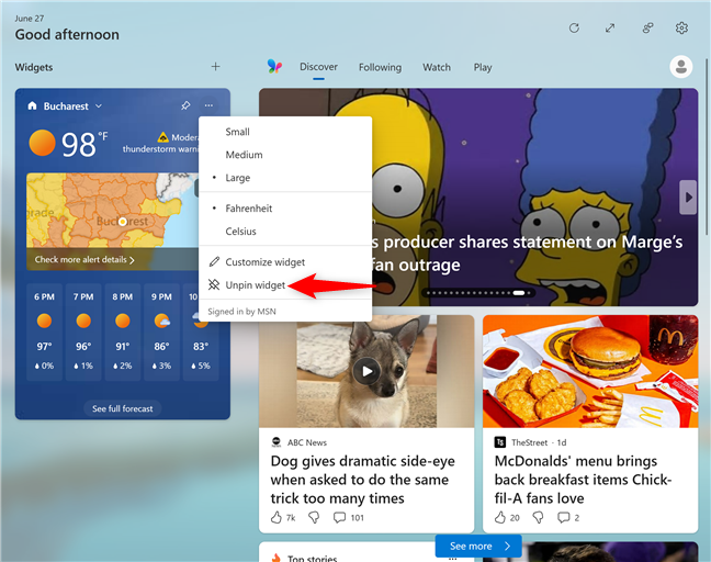 How to remove a widget from the Widgets panel