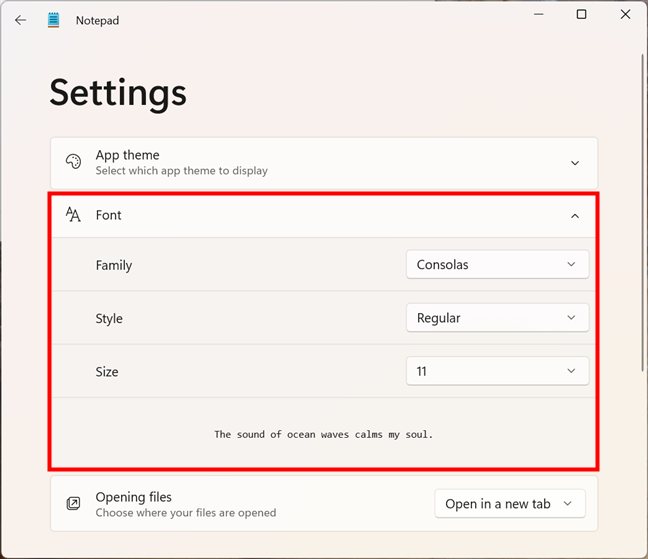 Font settings in Notepad for Windows 11