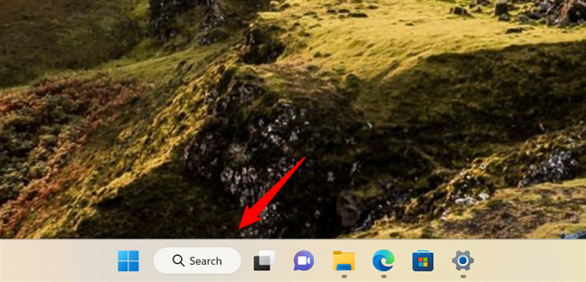The expanded Search button (with icon and label)