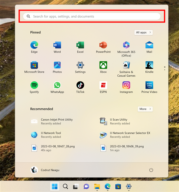 The search field in Windows 11's Start Menu