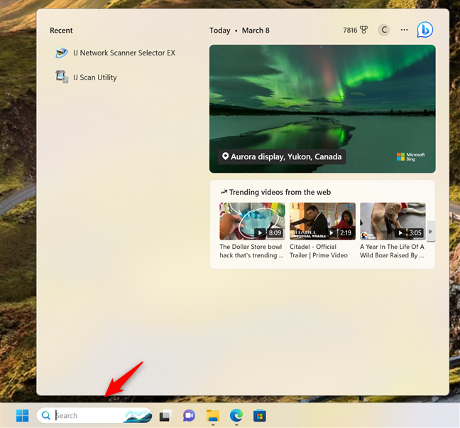 The Search box in Windows 11