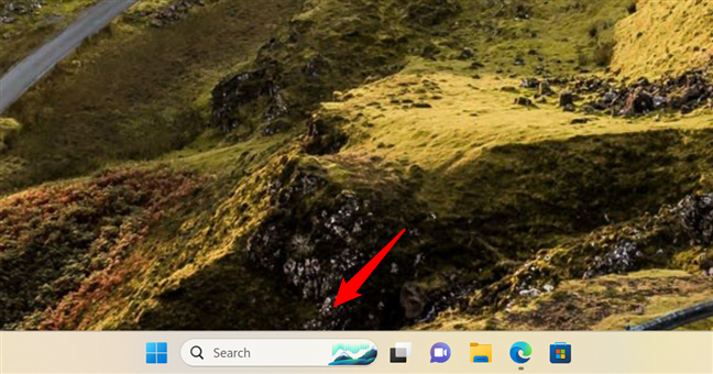 The Search bar in Windows 11