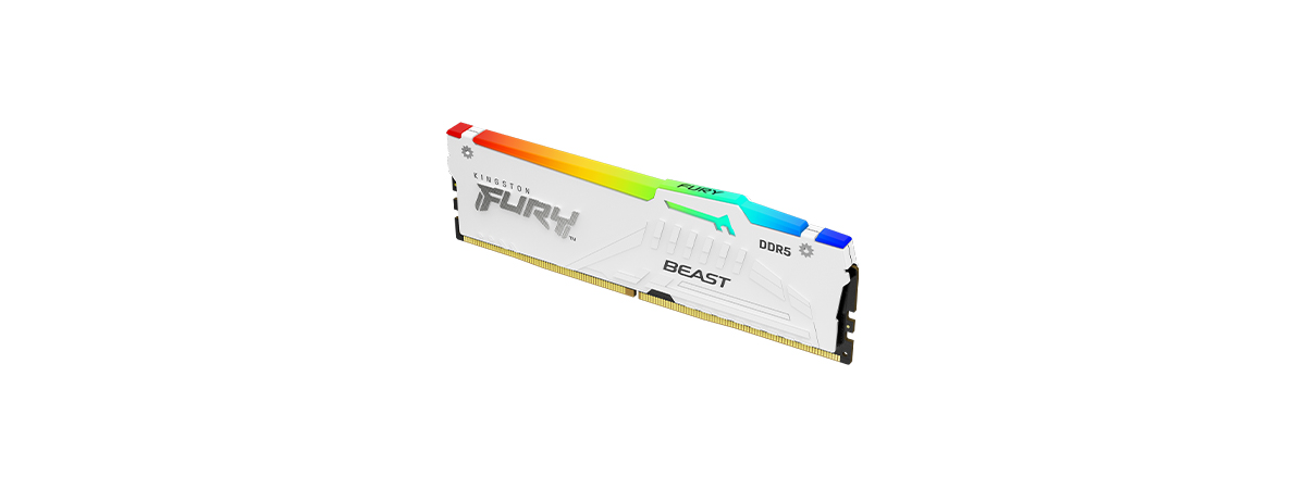 Kingston Fury Beast White RGB 32GB DDR5-6000 review