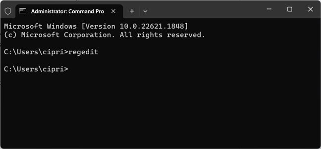 Run regedit in CMD, PowerShell, or Windows Terminal