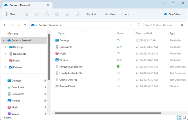 OneDrive in Windows 11's File Explorer