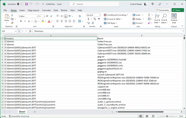The directory tree exported in Excel