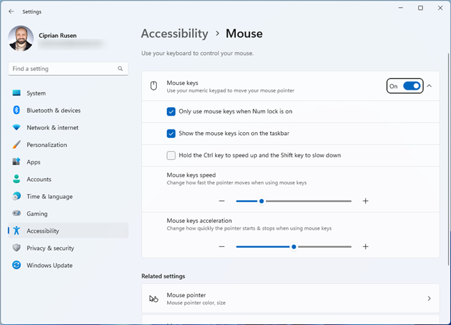 Configuring Mouse Keys in Windows 11