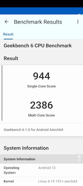 The results you get in Geekbench 6