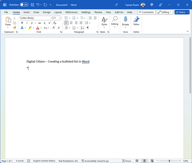 Creating a bulleted list in Word