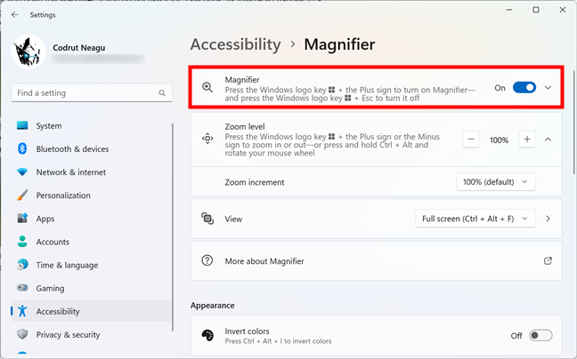 The Magnifier main switch in Windows