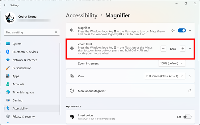 Zoom level setting for Magnifier
