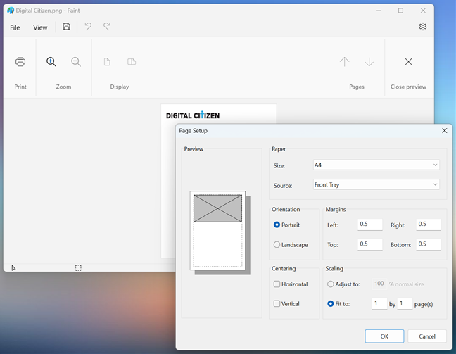 Page Setup and Print preview in Paint