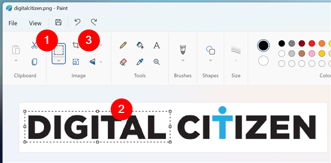 How to select and crop an image in Windows 11's Paint