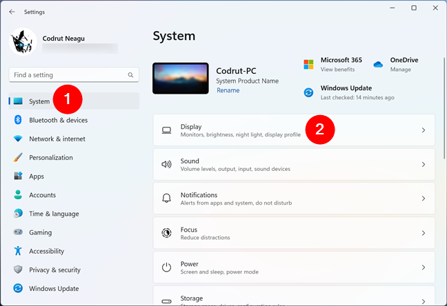 The Display entry from Windows 11's Settings